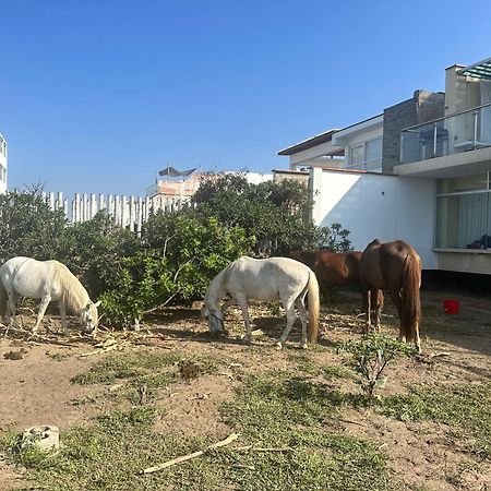 Bed and Breakfast Yolo House Peru Асия Экстерьер фото